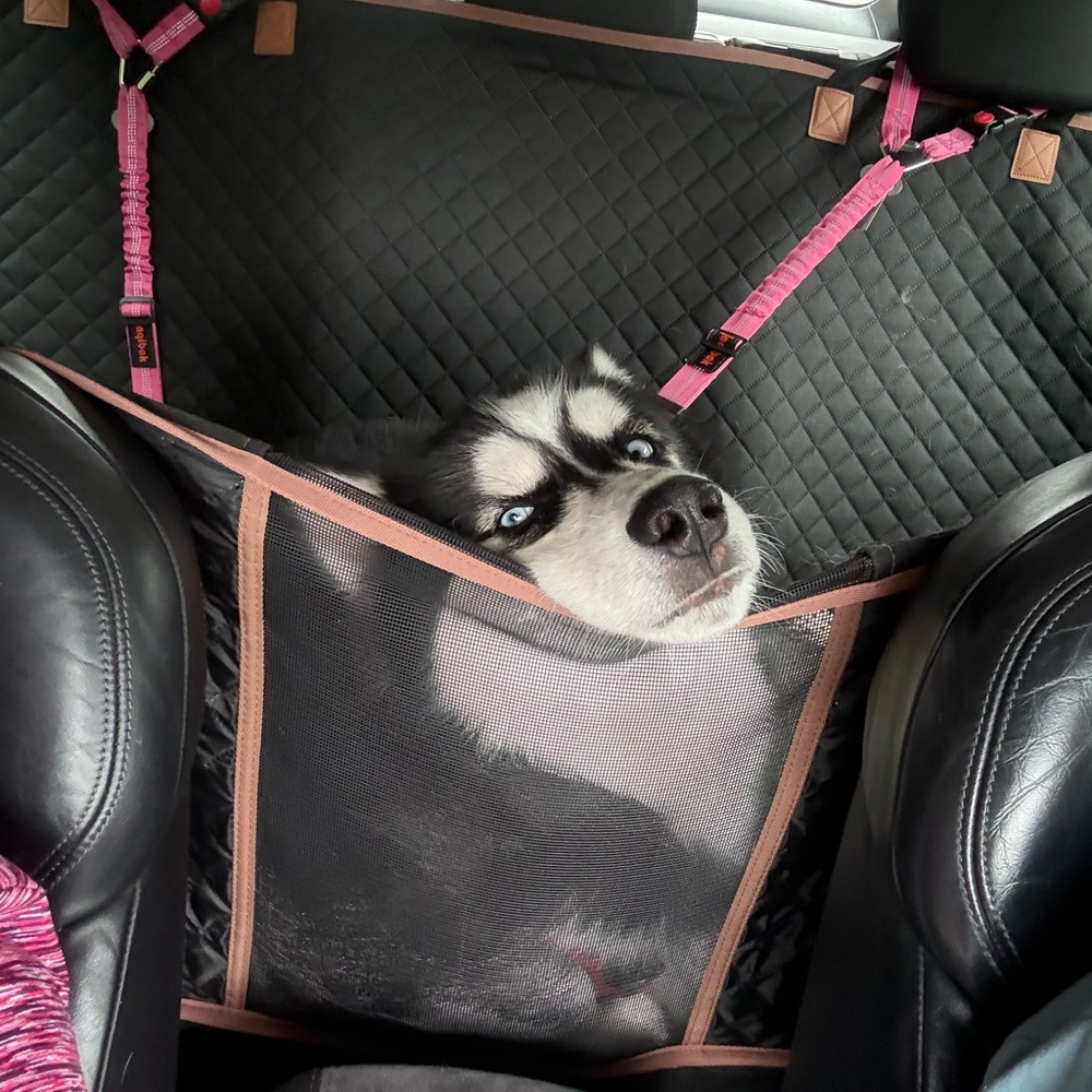 Meet your Posher, Veronika